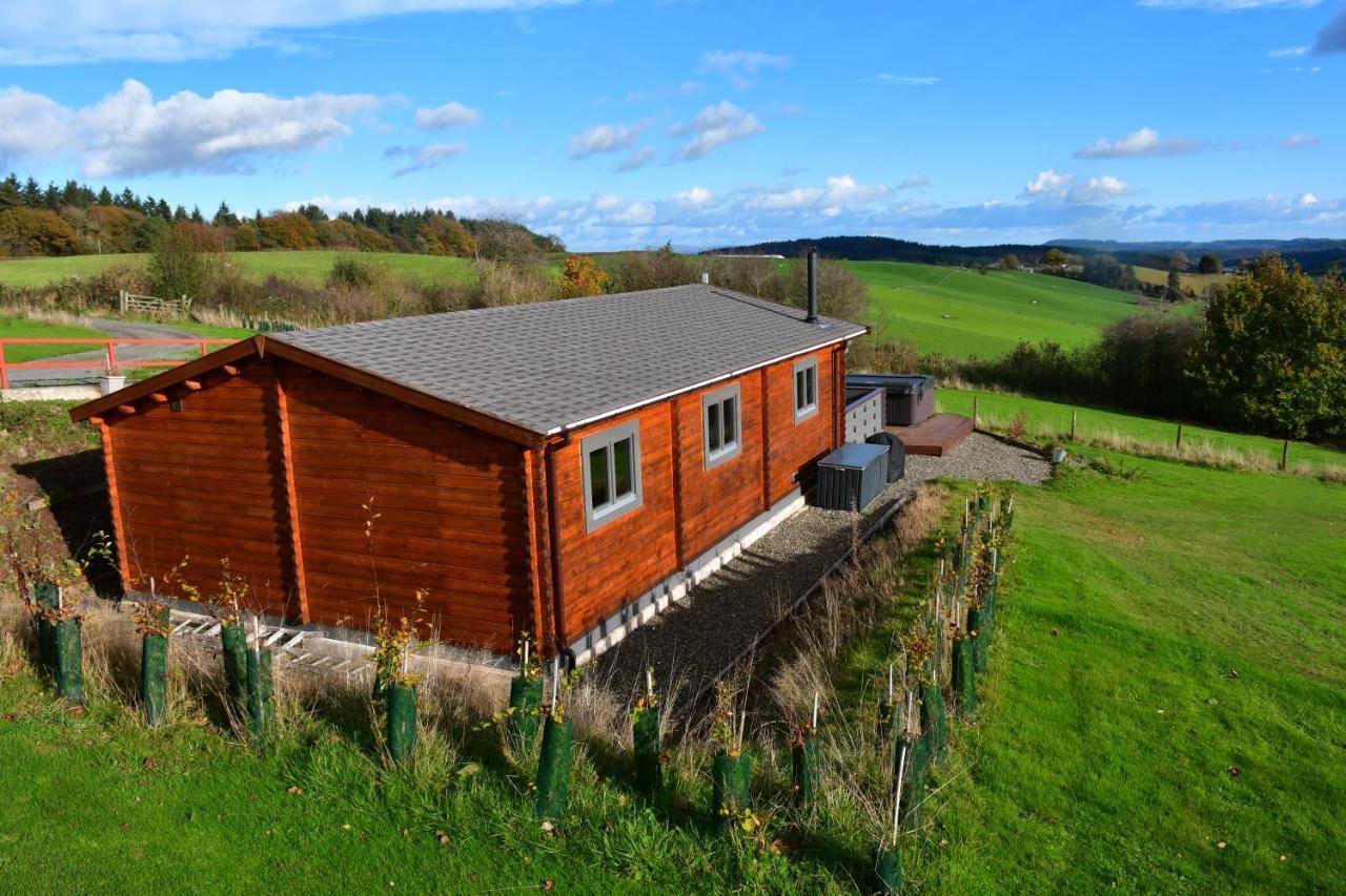 Long Wood * Knighton (Powys)