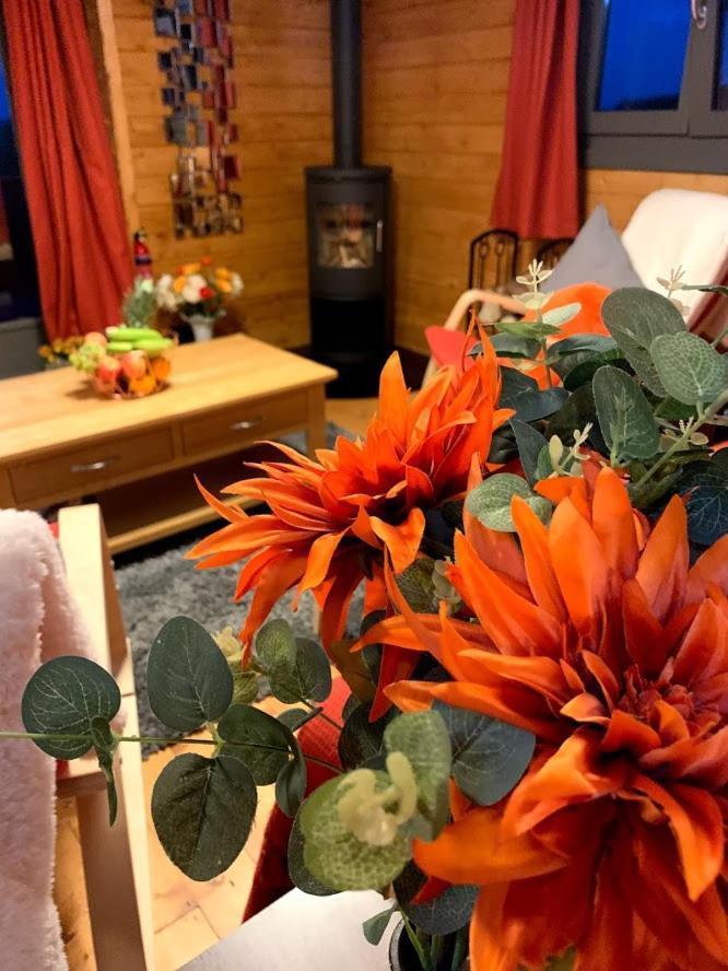 Lodge Long Wood Knighton (Powys)
