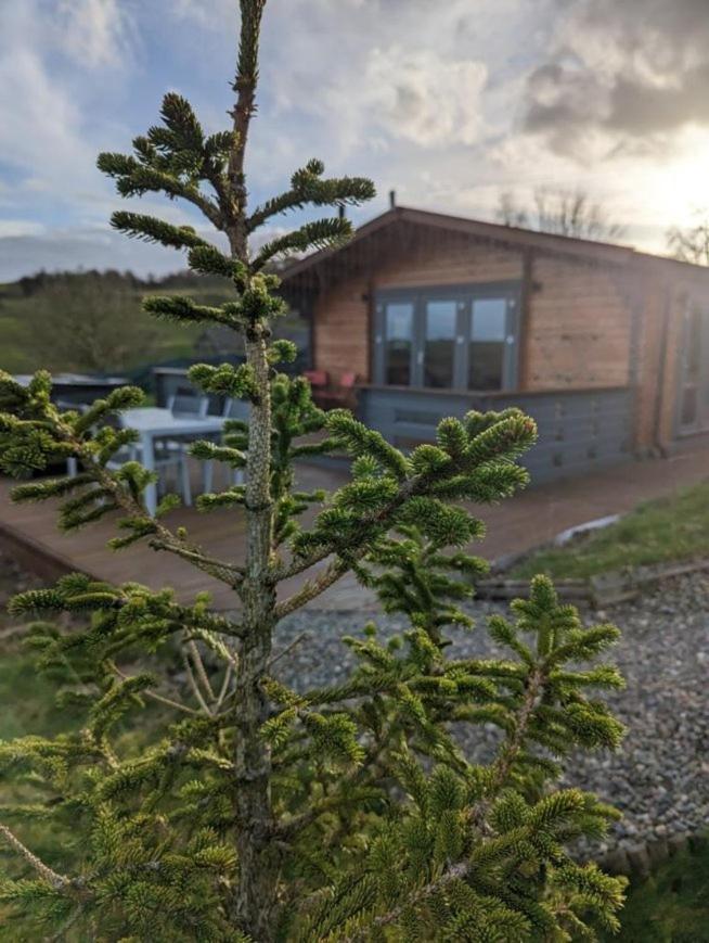Long Wood Lodge Knighton (Powys)